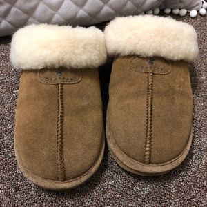 Bearpaw Slippers